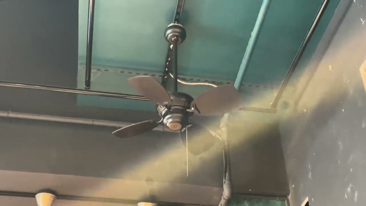 Various Ceiling Fan Sightings in Ohio