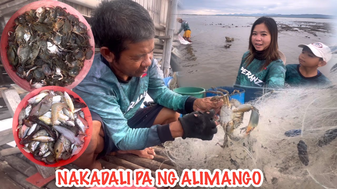 KARAMIHAN DAWAT ANG NAHULI SA PALAPAD | IMPERANZA