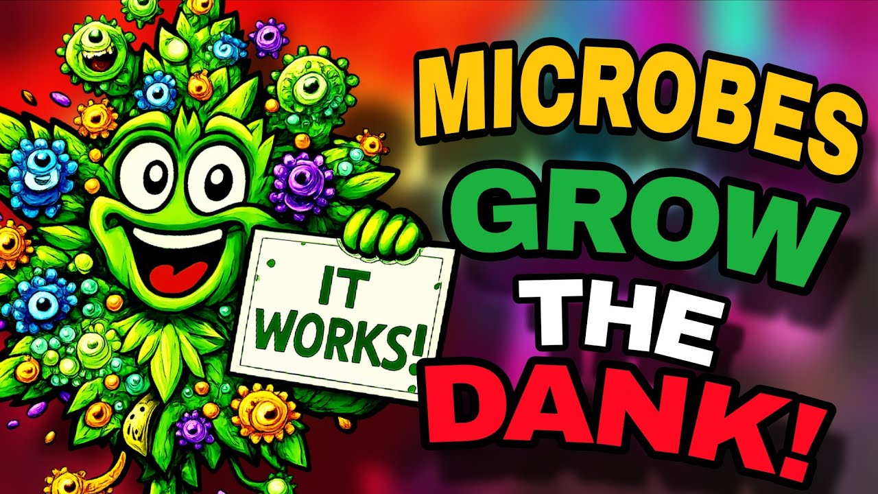 Биология вашей почвы играет гораздо более важную роль, чем вы думаете.