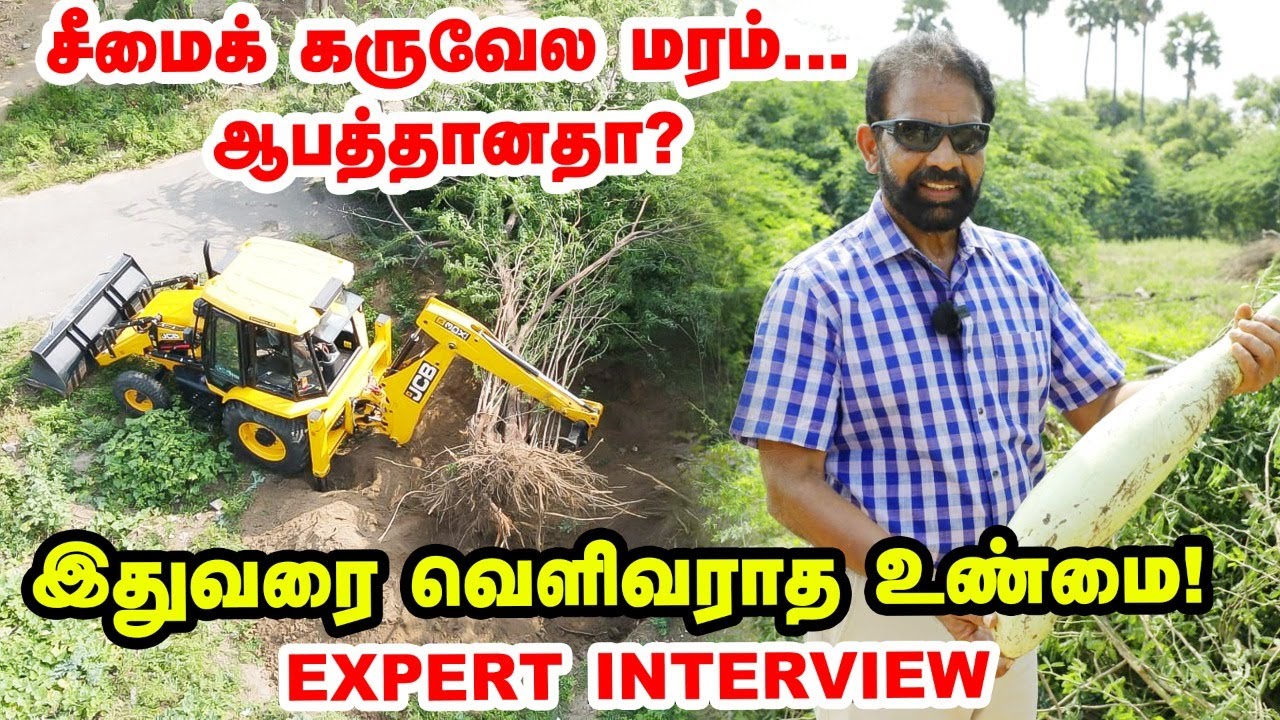 சீமைக் கருவேல மரம்: இதுவரை வெளிவராத உண்மை! | Expert Interview | Prosopis_Juliflora