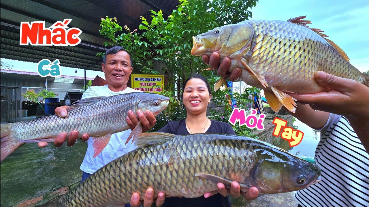 Trúng Tiếp Ổ Cá Khủng Nhấc Mỏi Tay Và Quang Cảnh Hoa..ng Tàn Sau Khi Lũ Rút / Quế Nghịch
