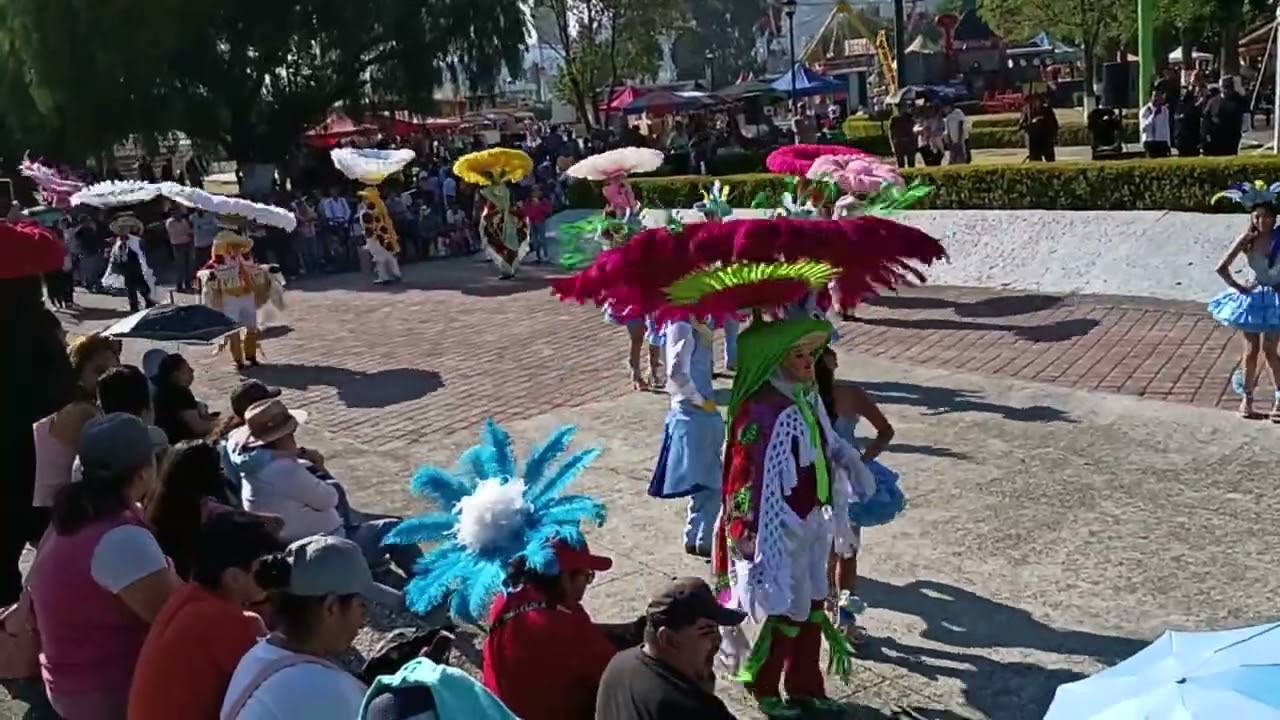 Carnavales Tlaxcala México 2026 #3