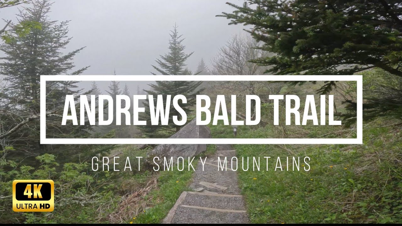 POV Hike Andrews Bald Trail | Great Smoky Mountains Scenic Walk with Music