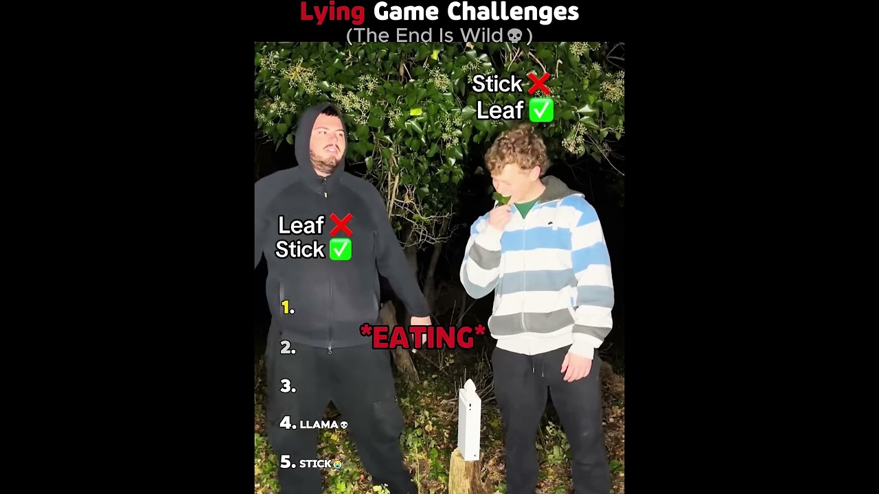 Ranking The Best Lying Game Challenges EVER !😂😂🙏