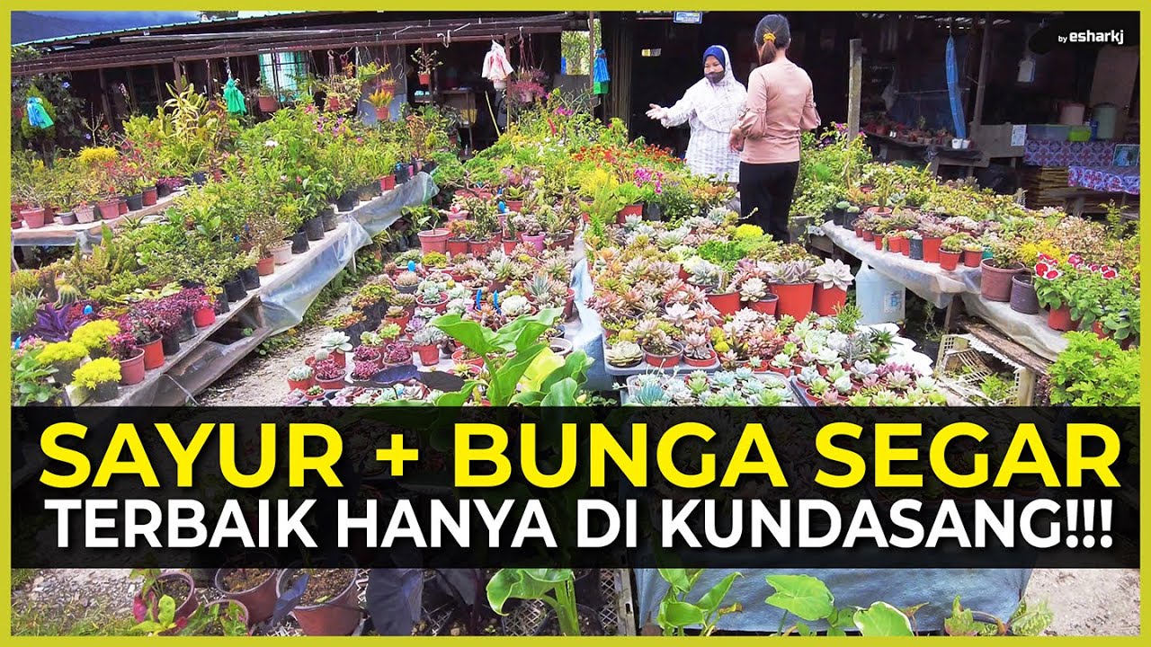 Gerai Sayur Kundasang Sabah
