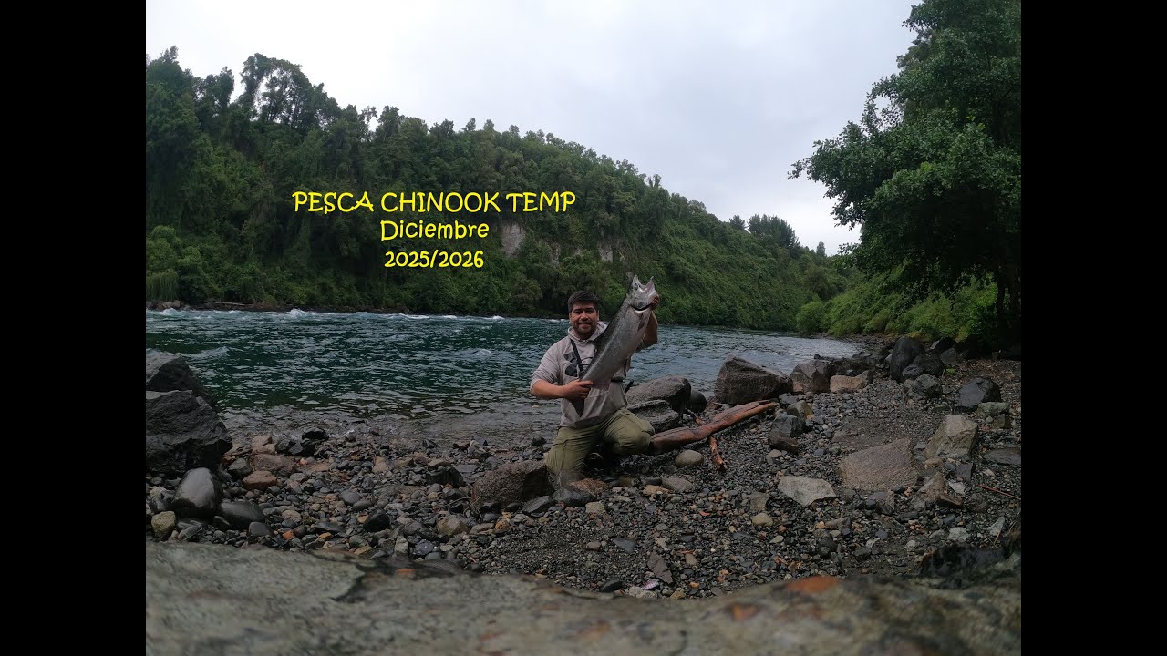 Pesca de Chinook diciembre temporada 2025/ 2026