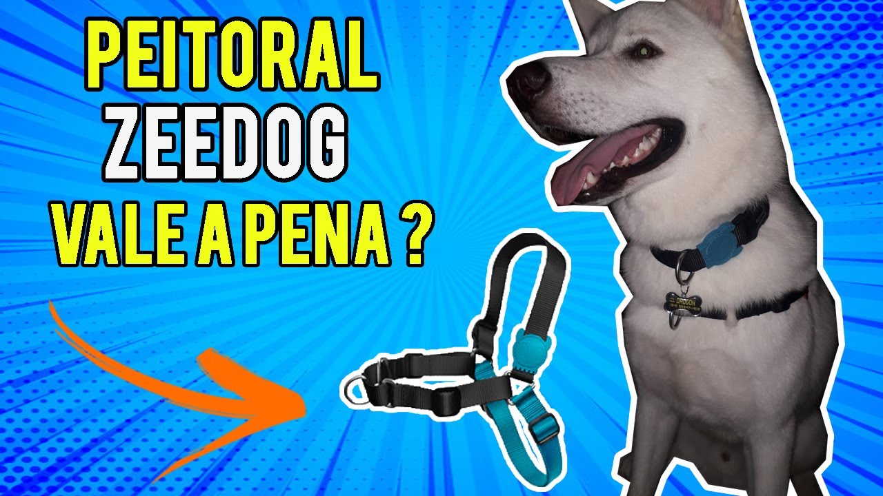Testando o peitoral antipuxão da zeedog