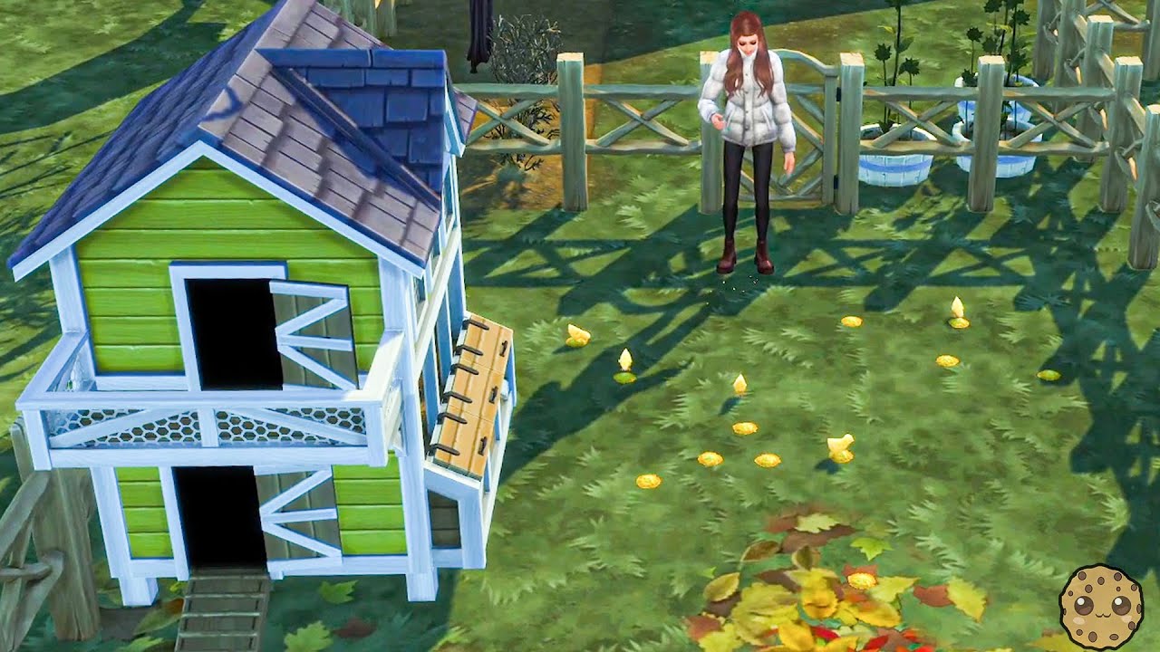 Baby Chicks , New Animal Farm Life Sims 4