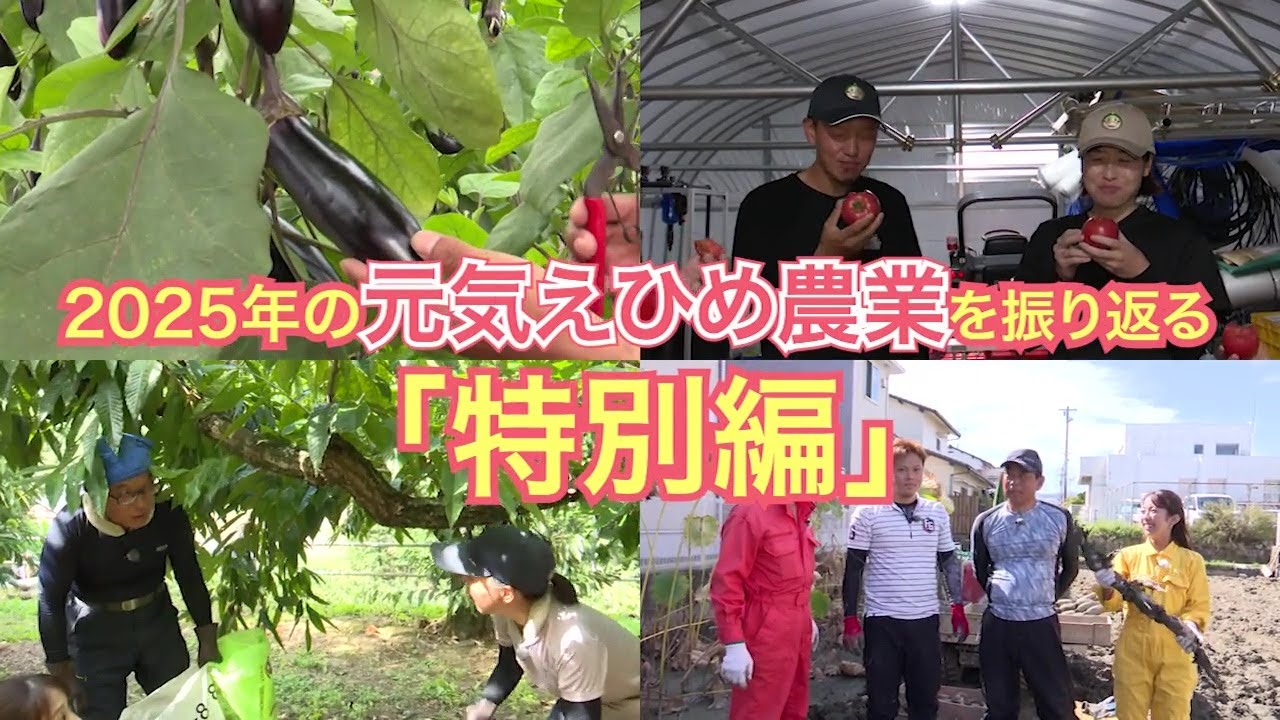 「元気！えひめ農業　2026年1月17日放送