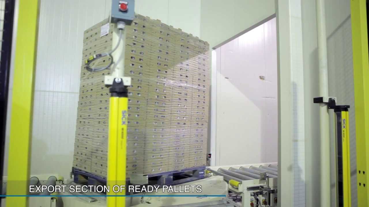 Installation of full automatic yoghurt fast cooling tunnel