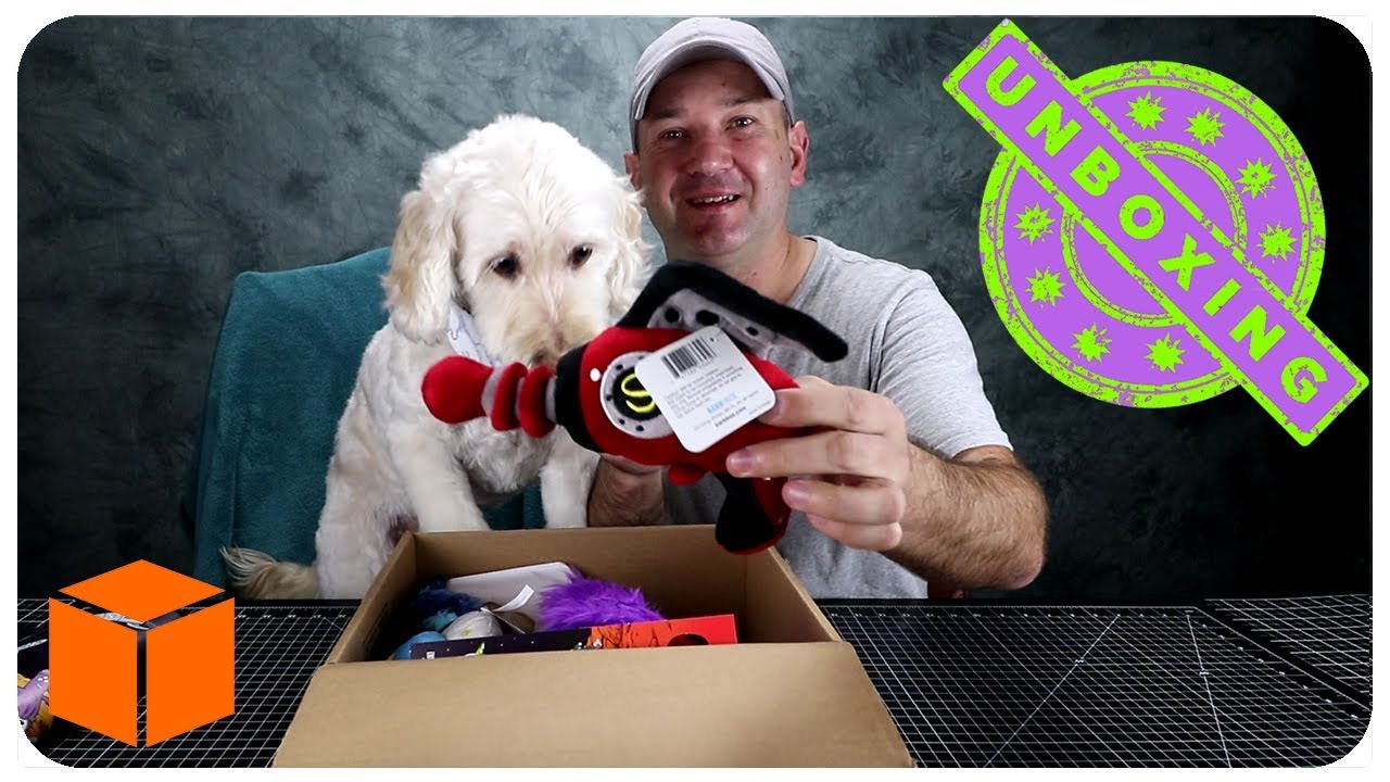 Bark Box , January 2018 || Unboxing