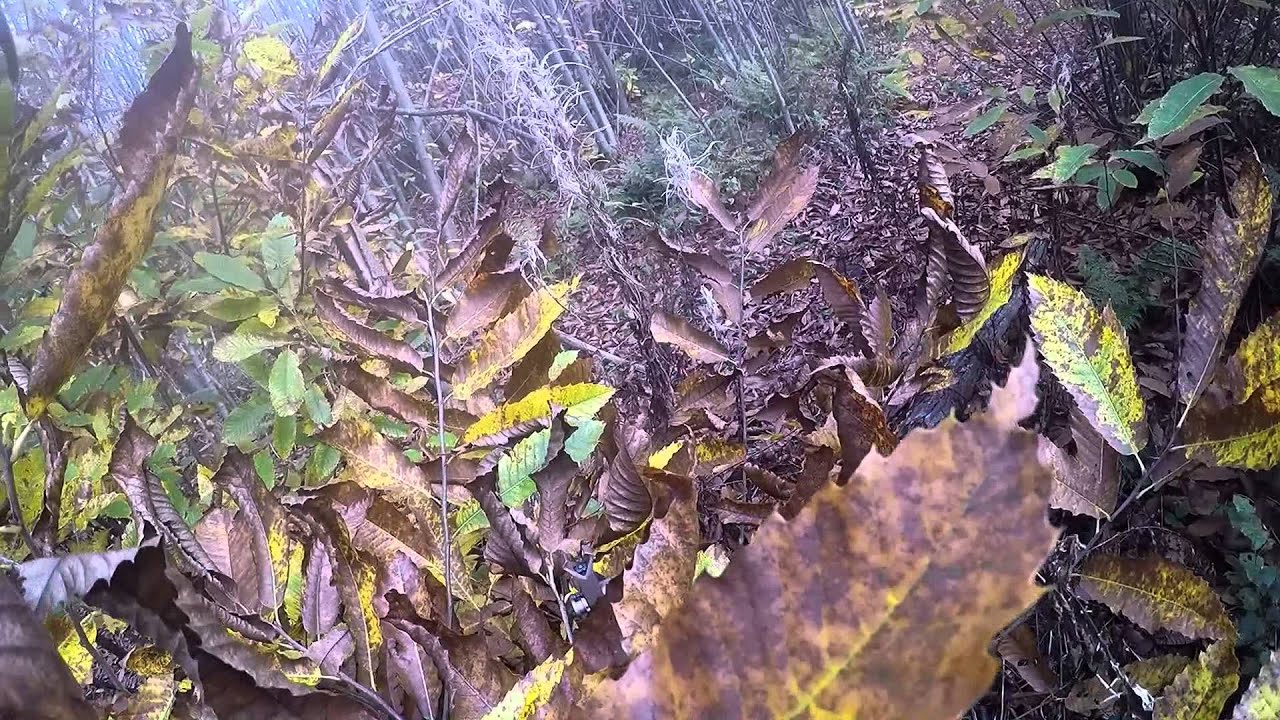 A sample of our game at Bush Valley Airsoft