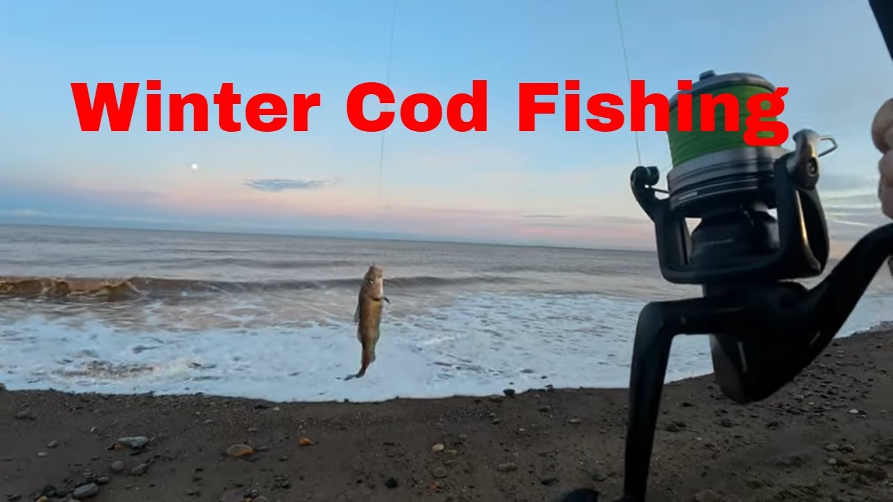 Solo Shore Fishing Adventure - Just Me, the Rod & the Sea