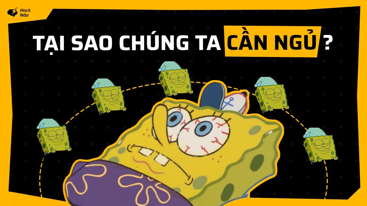 Mục đ&iacute;ch của giấc ngủ: Tại sao ch&uacute;ng ta ngủ 1/3 cuộc đời | LINH V. | Beyond Limits