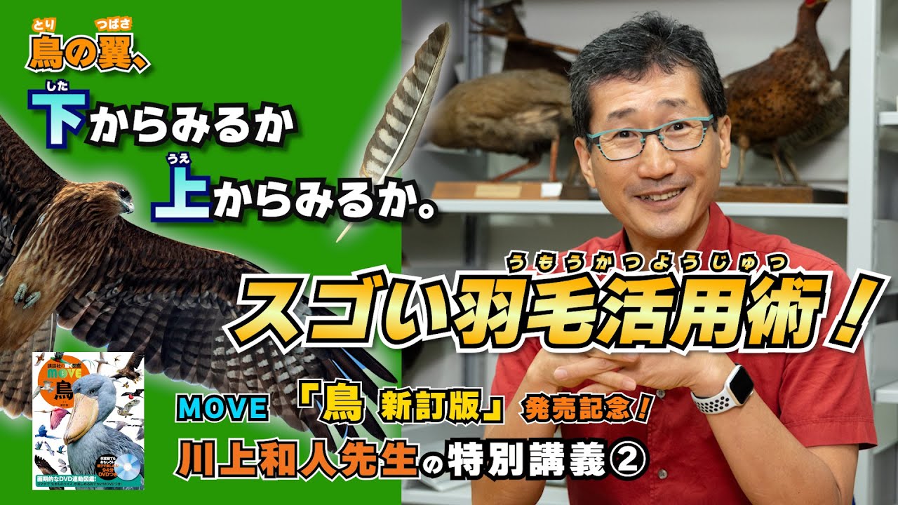 【図鑑MOVEミニ講義②】鳥の羽毛について鳥類学者・川上和人先生が解説！