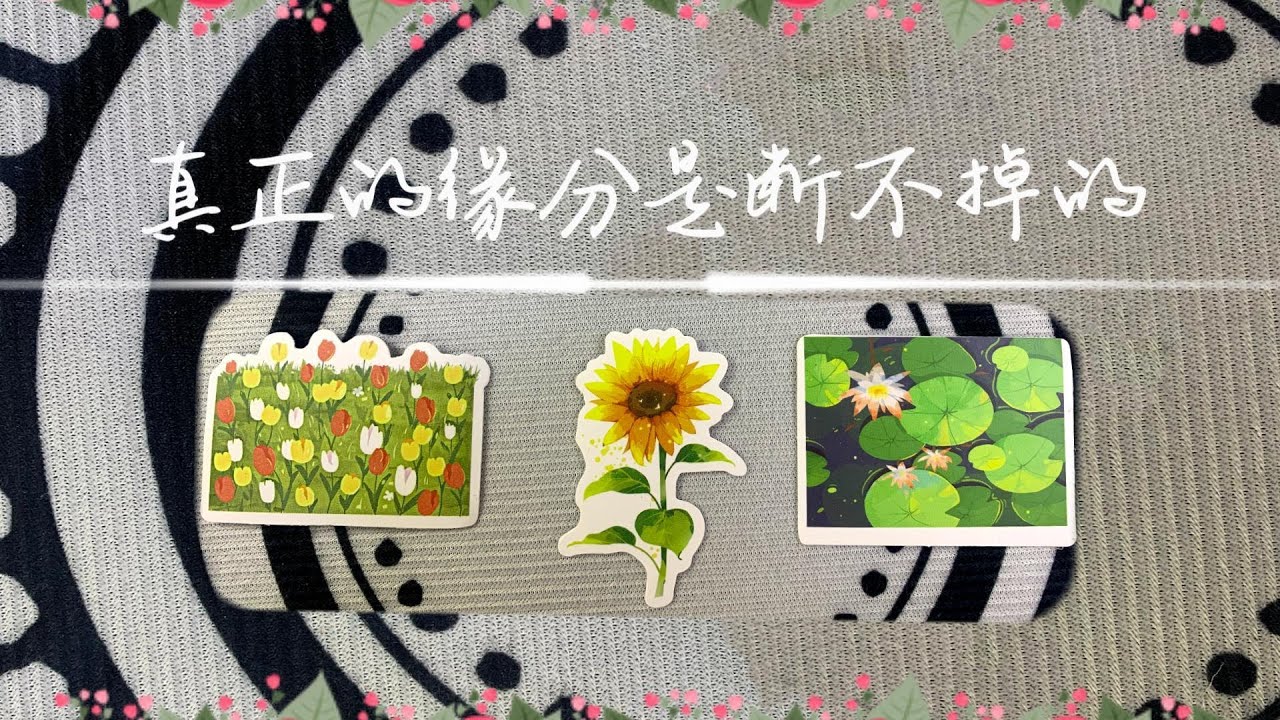 真正的緣分是斷不掉的，他還想要再續前緣嗎？   |斷聯|卡頓|吵架|拉扯|塔羅占卜|