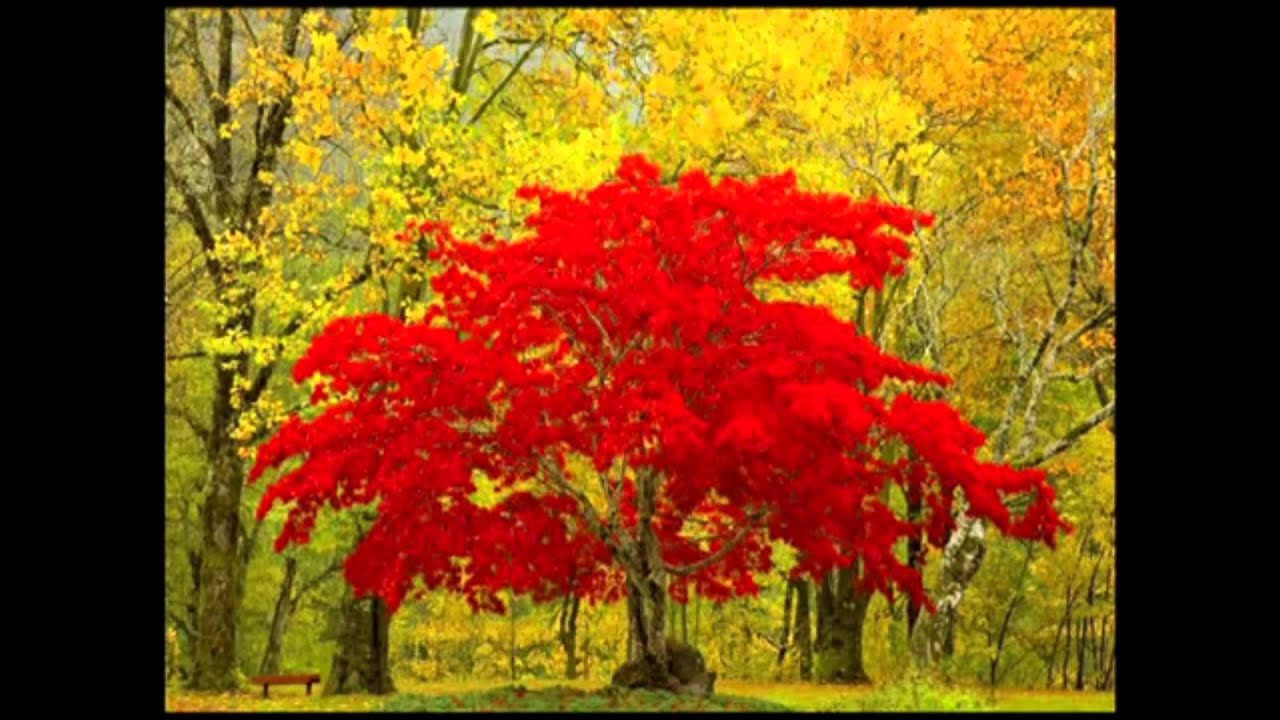 MOTHER EARTH- amazing pictures, landscape, nature, universe, David Bailey for Abraham