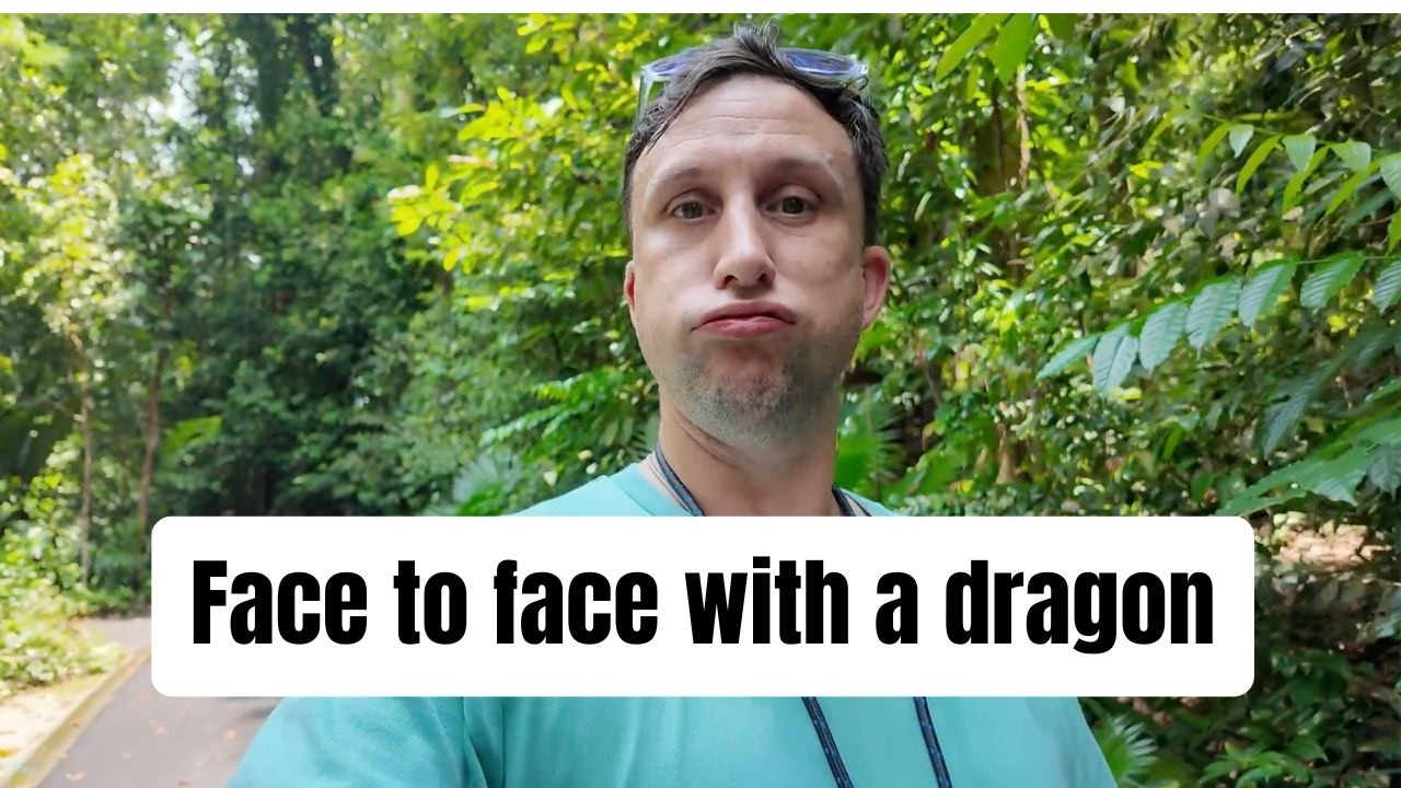 Dragons, cable cars, a luge & the skyway in Singapore