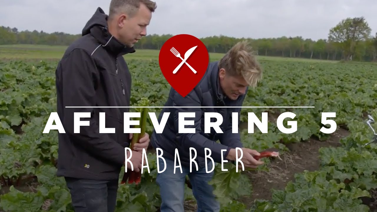 Aflevering 5 | Seizoen 4 | Nederland Proeft