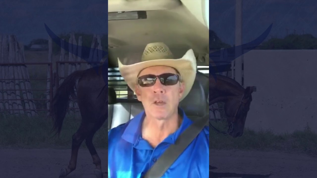 Ranch Road Series- Energize the Lazy Horse