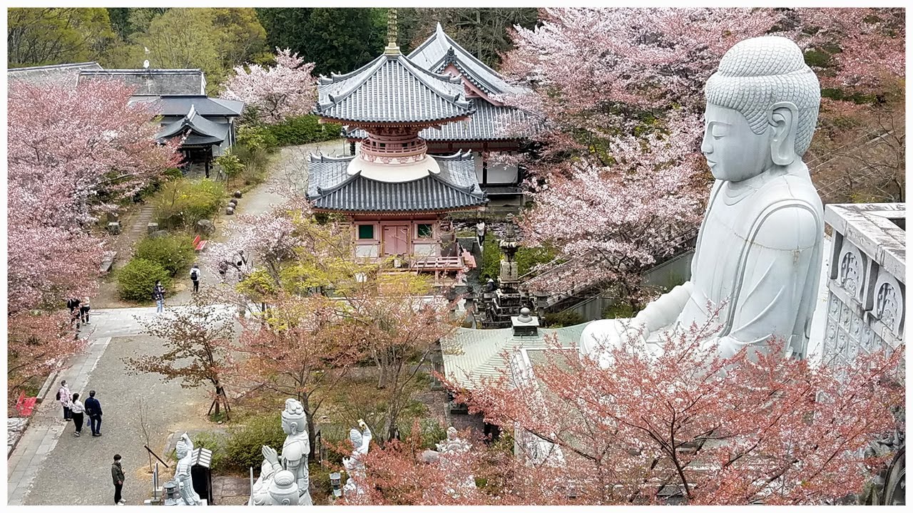 Um dos Mais Bonitos Templos do Jap&atilde;o - Tsubosaka-dera Sakura