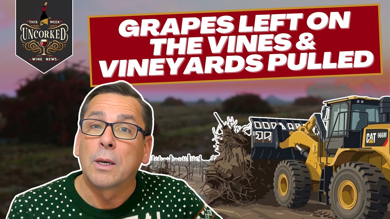 2025 Becomes the Year of Abandoned Grapes in Napa Valley - This Week Uncorked Episode 75