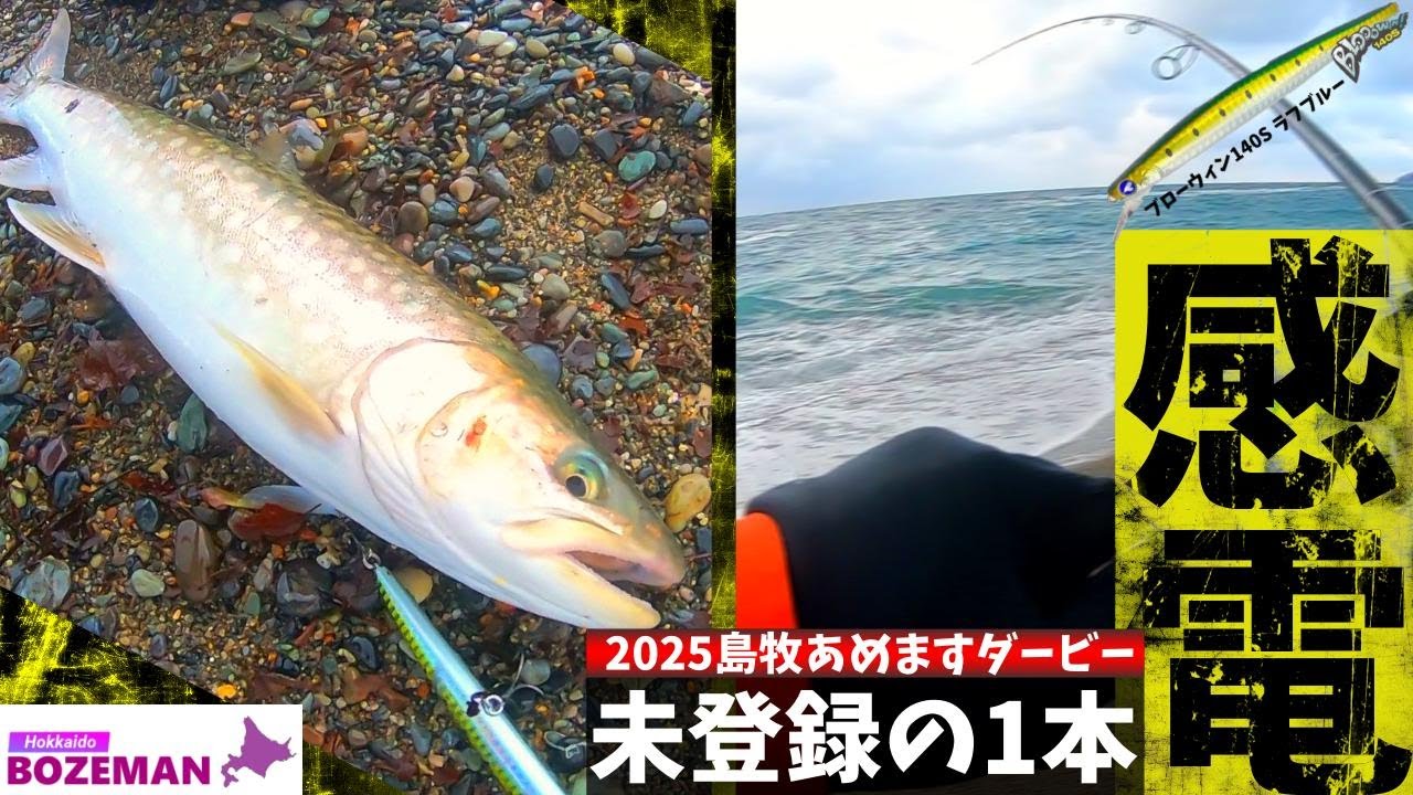 雷雲切り裂くあのルアーで登録サイズのアメマスが…2025島牧あめますダービー未登録の1本【北海道釣り】【アメマス釣り】