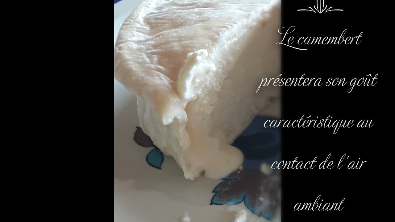 Camembert   affinage et dégustation