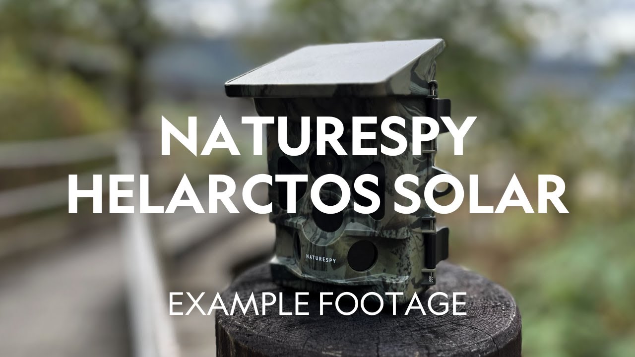 Example Footage | NatureSpy Helarctos Solar Trail Camera