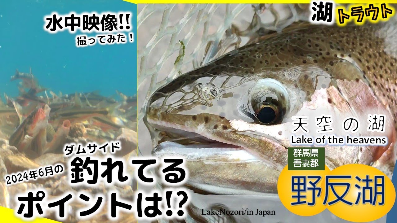 【群馬野反湖】ちょっと違うね！6月のダムサイドは！/A little different, damside of June! #野反湖トラウト #群馬トラウト #野反湖釣りポイント