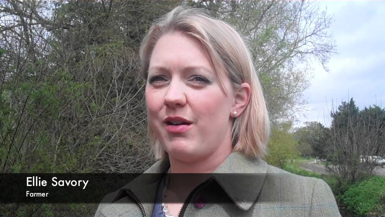 Farmers fight to save bird on the brink