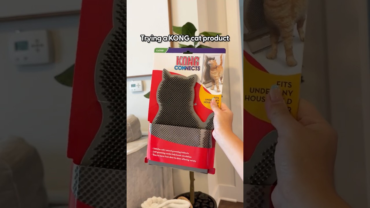 Does This Cat Scratcher Really Work? | The Pack