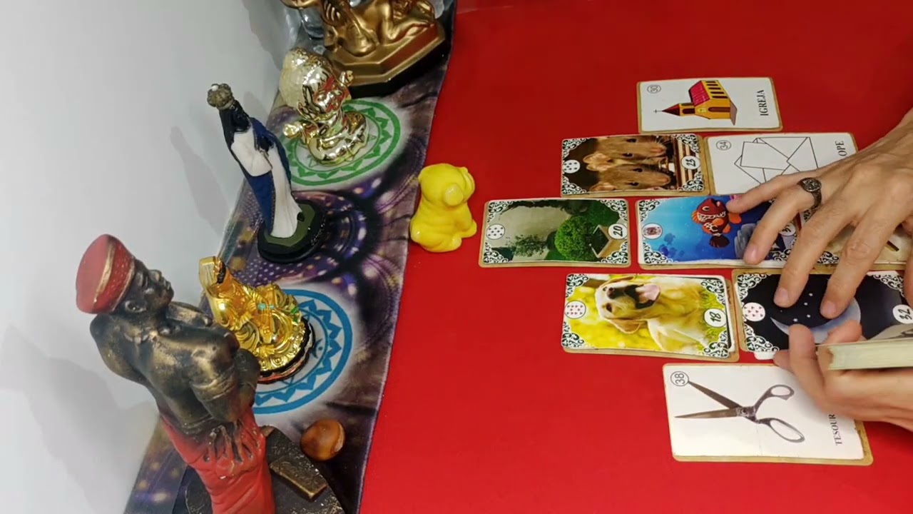 🧟Você chegou p/mostrar o que é felicidade🔥Aqui a saudade mata/preso💃Essa Mulher acabou c/uma união!🌞