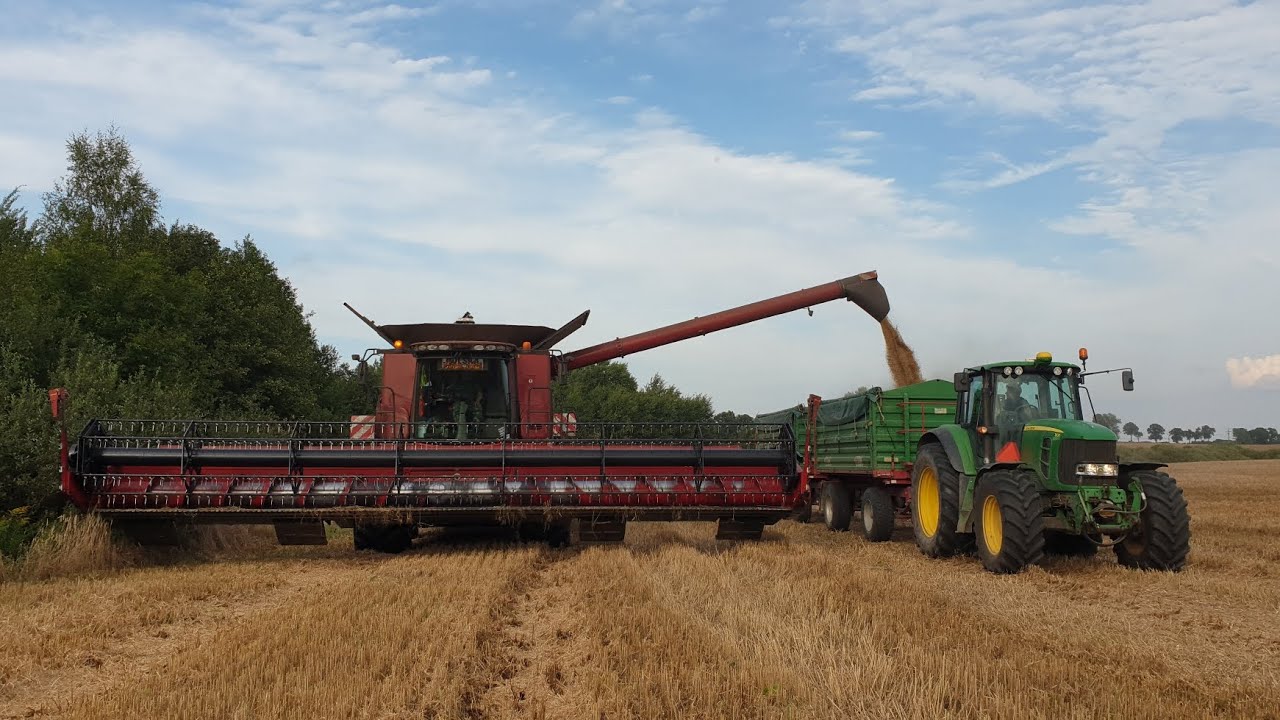 Żniwa 2023 z ALMARI-AGRO na 7 kombajnów💪💪💪 3x Claas, 3x Case, 1x John Deere
