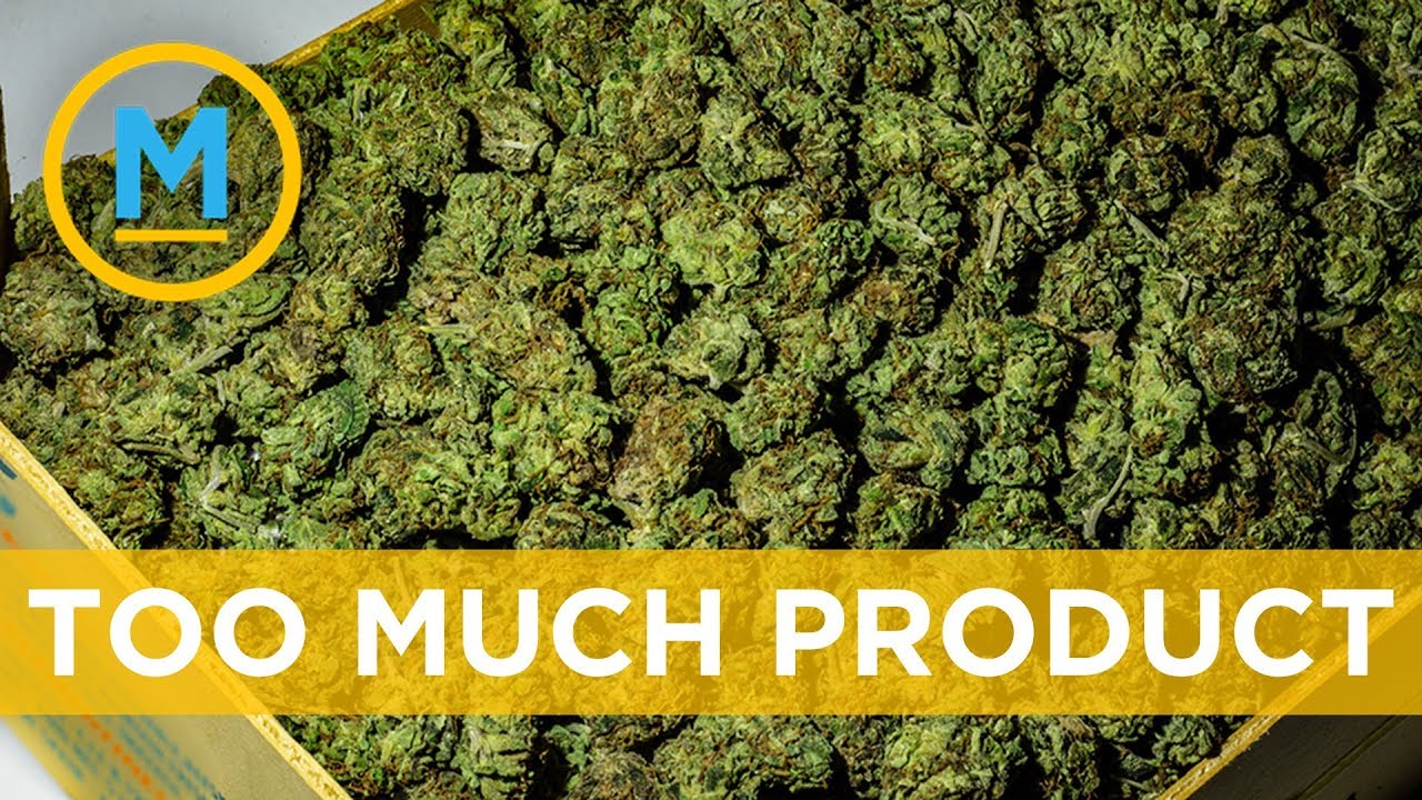 Why Canada has an oversupply of cannabis | Your Morning