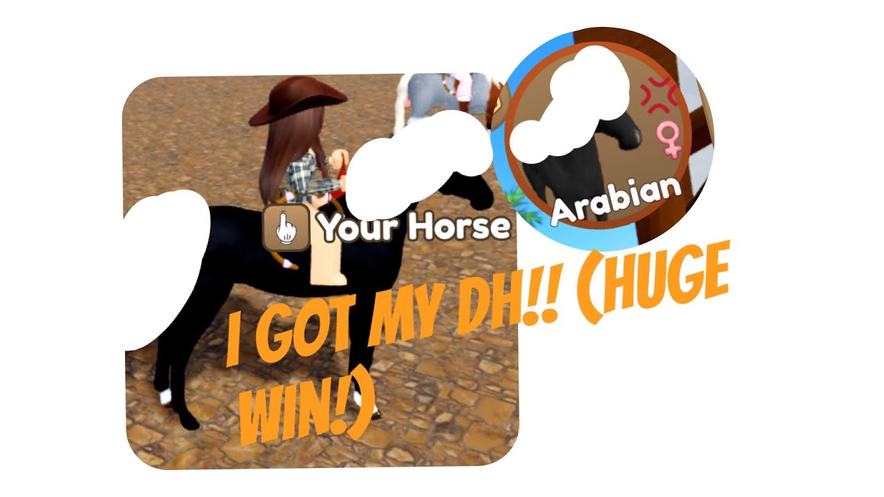 w/f/l getting an ARAB iuh!! 🐴✨Wild horse islands 🐴✨