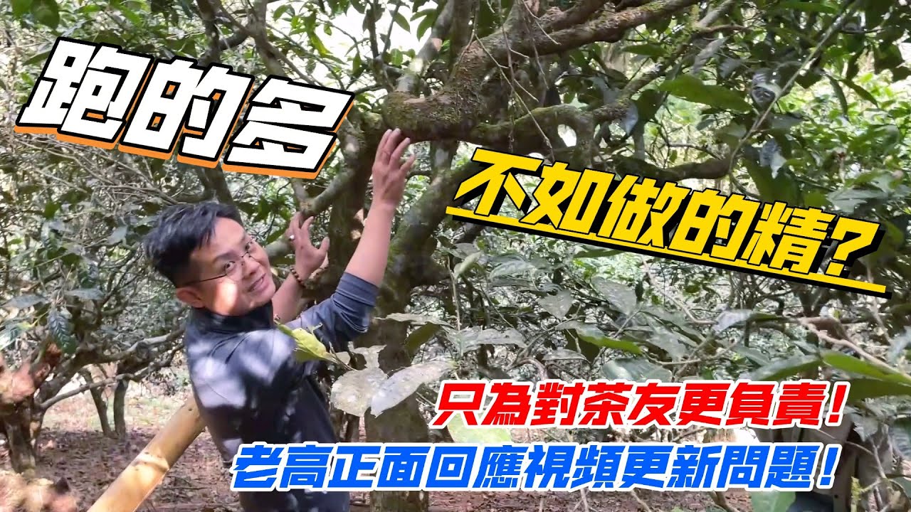 跑的多不如做的精？老高正面回應視頻更新問題！只為對茶友更負責！购茶请加微信/赖line：HDLG001#普洱茶#古树茶#老班章#古树茶#茶#茶叶#茶葉#古樹茶 #普洱茶wechat #tea