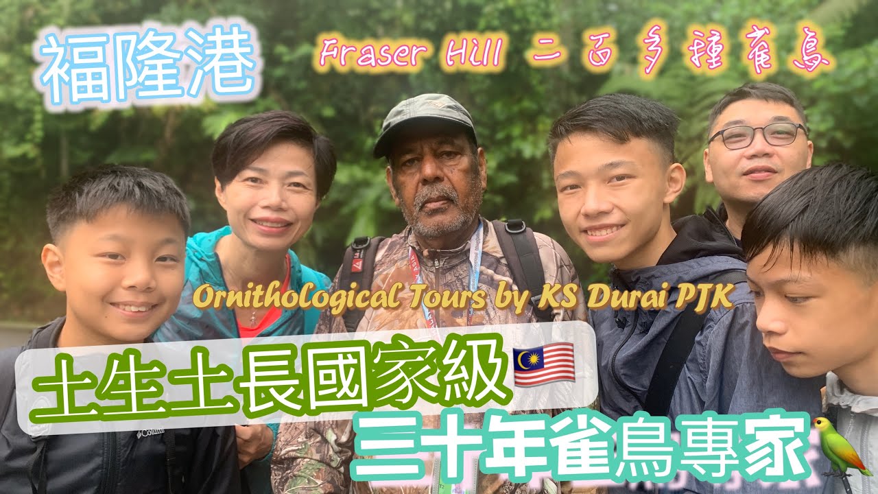 #Mangohk Ornithological Tours at Fraser Hill by KS Durai PJK | {中英字幕} Subtitled🦜土生土長國家級🕊三十年雀鳥專家