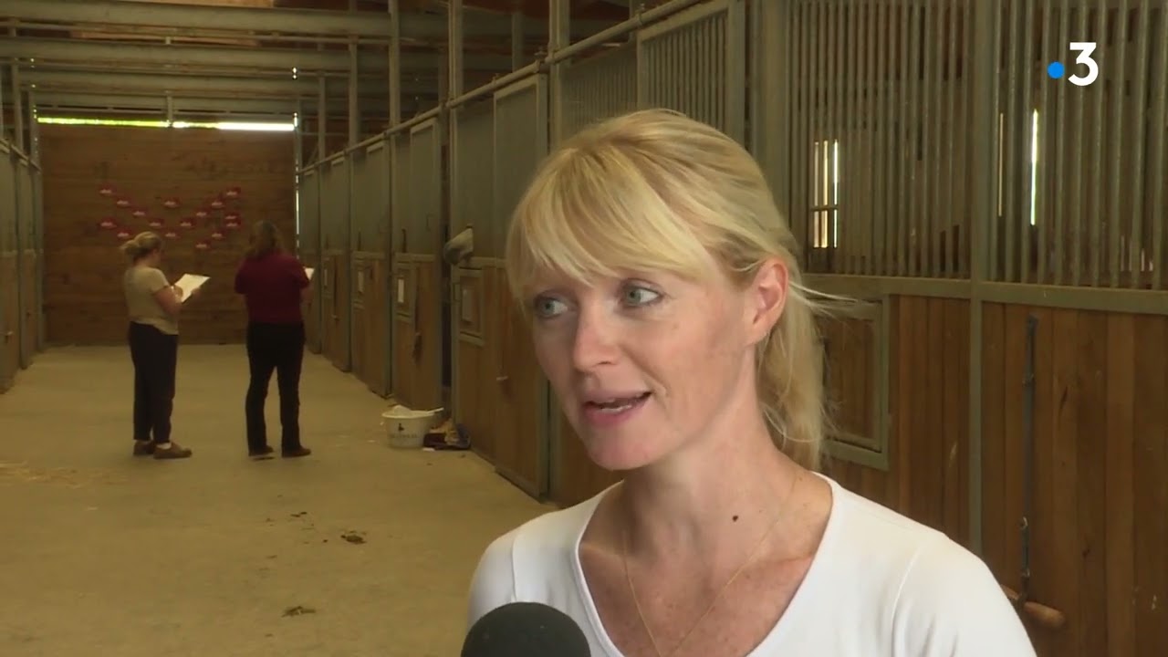 Lons-le-Saunier : La finale régionale des Meilleurs apprentis de France palefrenier-soigneur