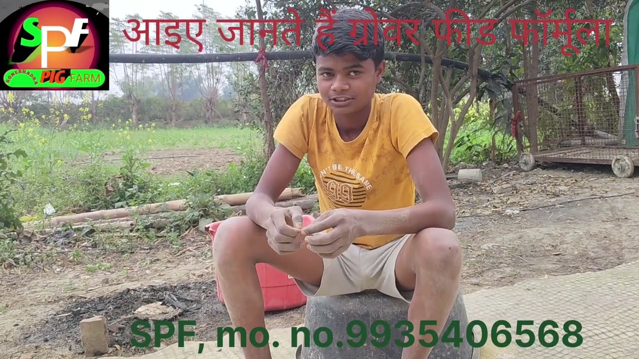 ग्रोवर ड्राई फिड फॉर्मूला #pig #pigfeed #farming 