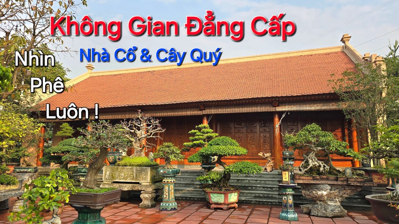 CHIÊM NGƯỠNG không gian ĐẲNG CẤP * Nhà Cổ & Cây Quý * nhà anh SƠN - Thường Tín - Hà Nội .