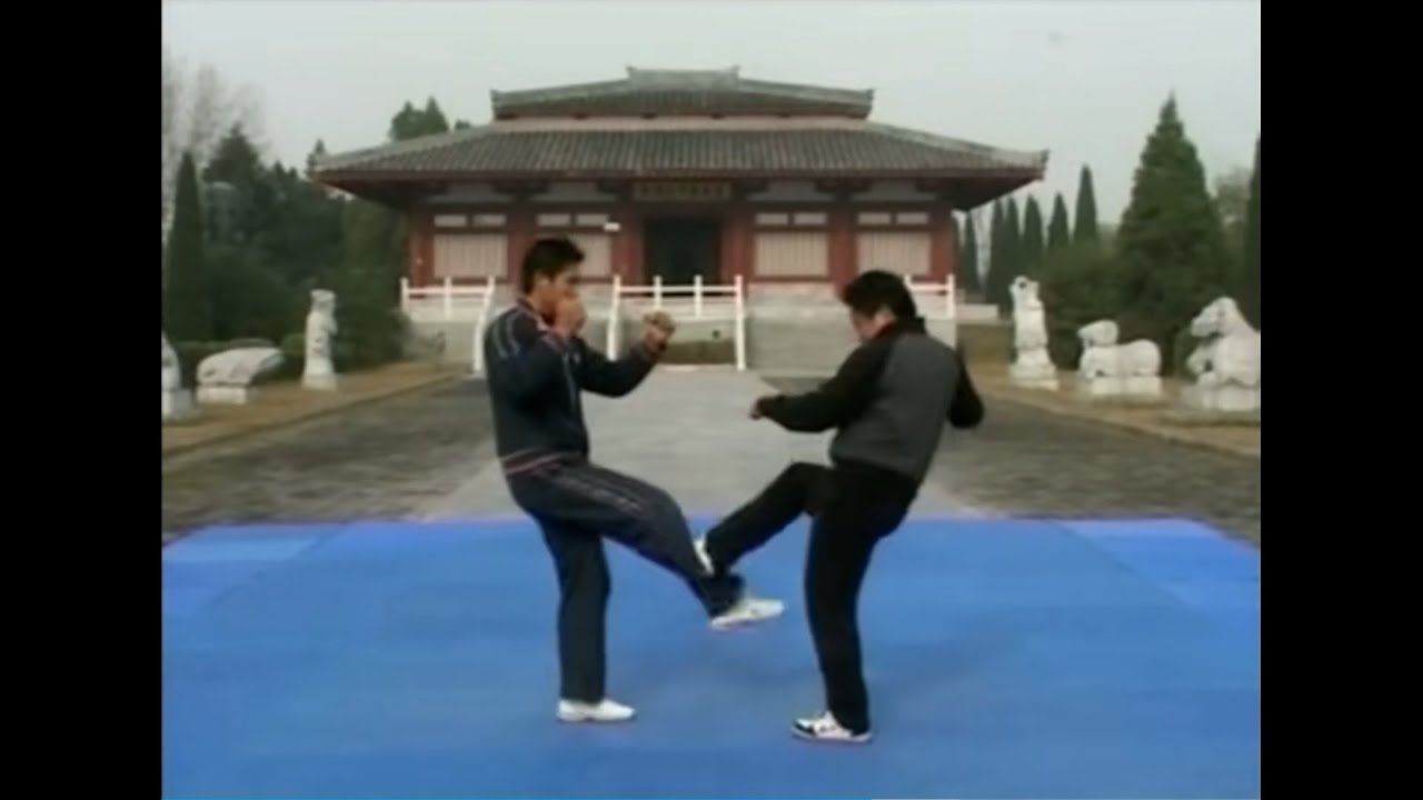 30 Sanda Techniques To Try In Your Kickboxing, Muay Thai, MMA