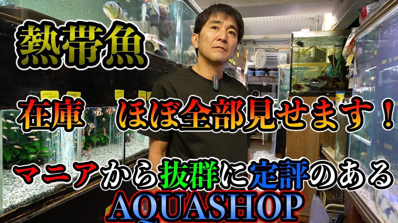 超特集！世界のあらゆる魚種集結　ほぼ全部見せます！アクアリウムショップ　ツーウェイ『熱帯魚屋』アジア　オセアニア　アフリカ　南米　熱帯魚