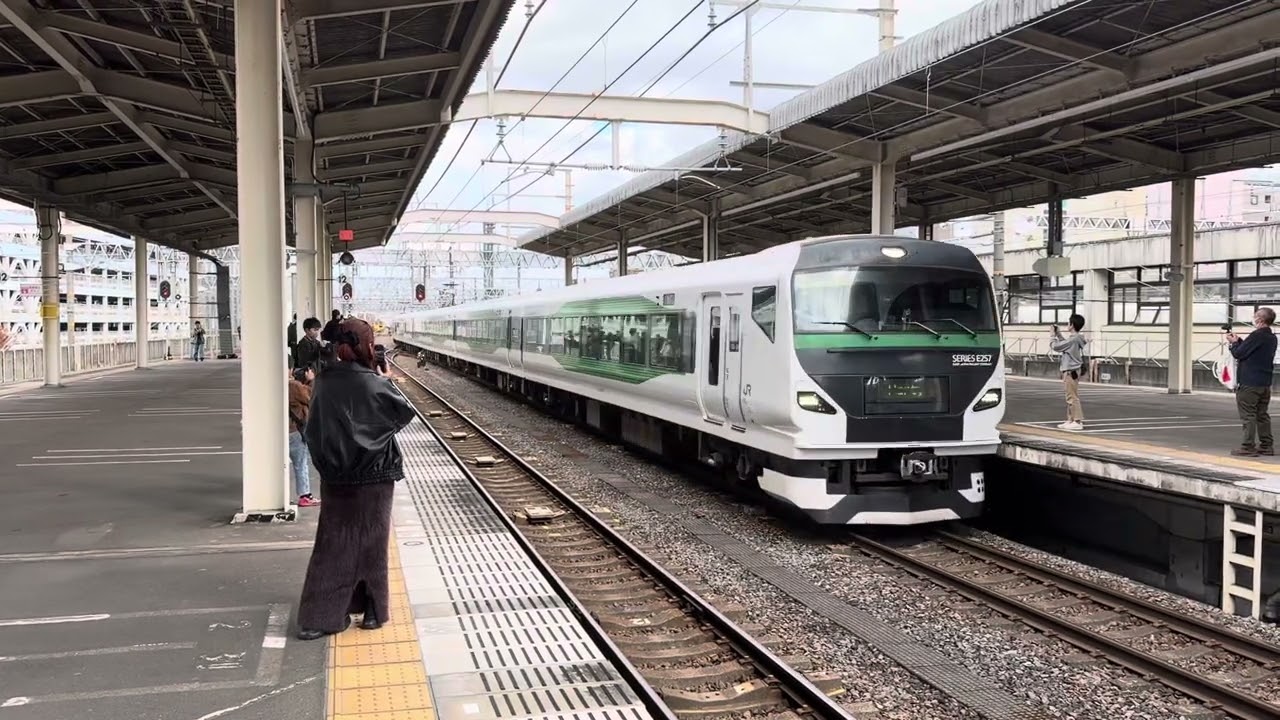 【団体臨時列車】 JR東日本 E257系 OM91編成 臨時 静岡行き 静岡駅到着 2025.11.29