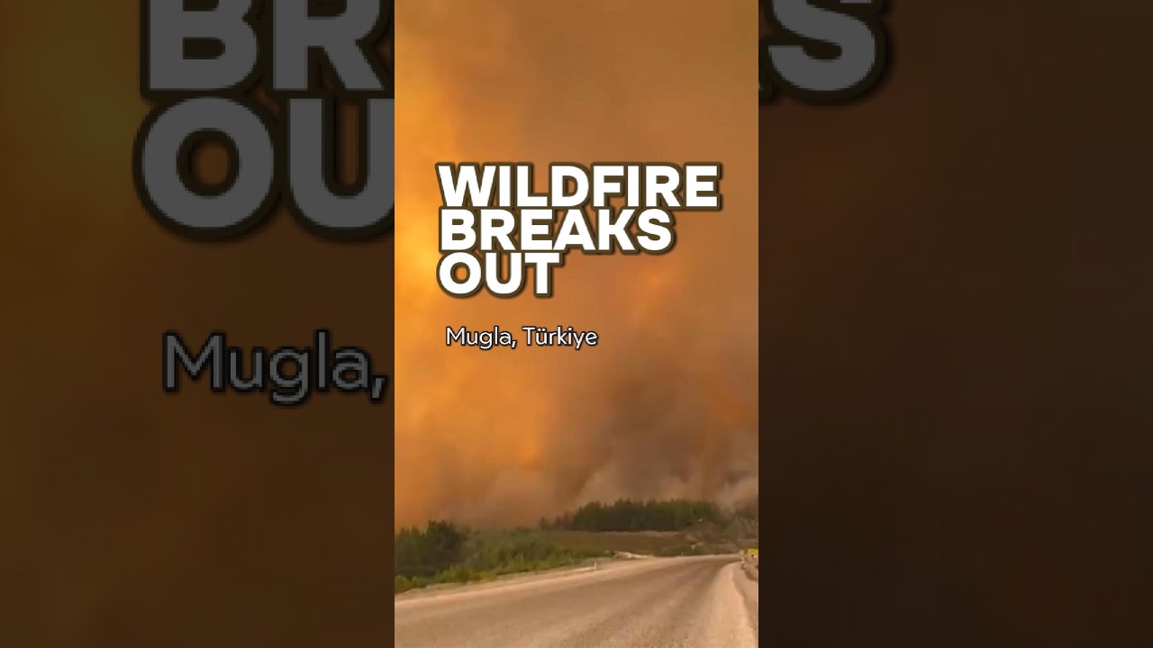 Wildfire in Muğla, T&uuml;rkiye