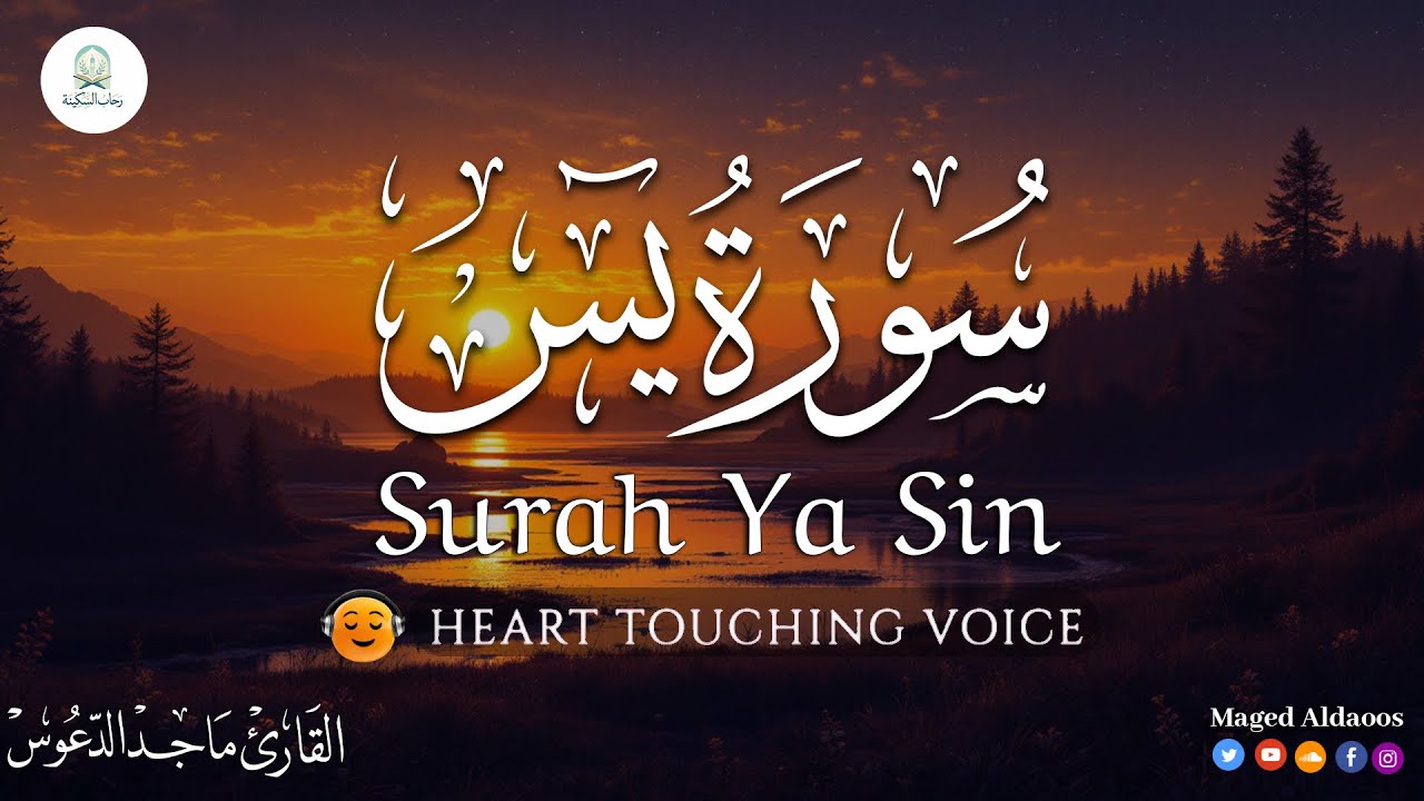 سورة يس كاملة | تلاوة هادئة تريح القلب والروح 2026 💚 صوت يبعث السكينة والطمأنينة @magedaldaoos 