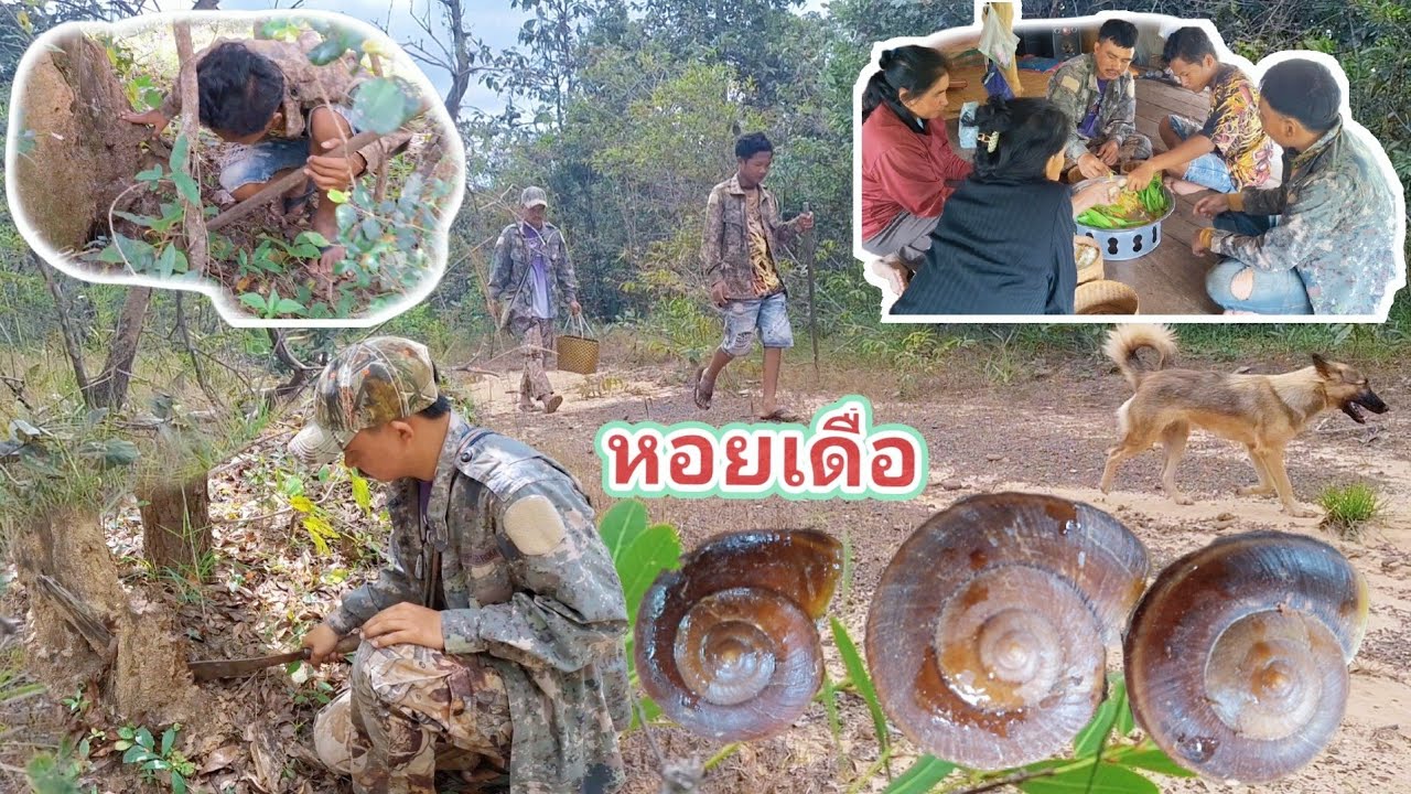 เข้าป่าหาขุดหอยเดื่อกับสีมอญ เดินจนขาลาก🫣🫣 18 พฤศจิกายน ค.ศ. 2025