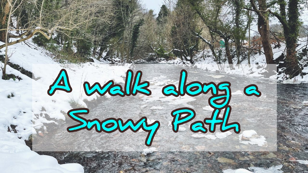 Nature video | Scotland in Snow | Water of Leith | Edinburgh