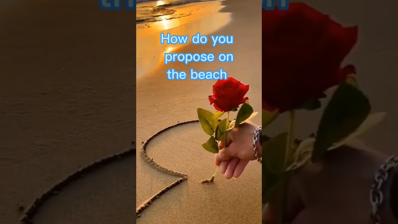 How do you Propose on the beach #shorts #fun #beach #love #propose #trend #fyp