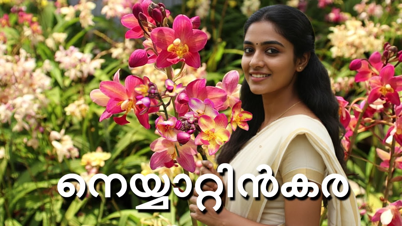 ഗ്രൗണ്ട് ഓർക്കിഡ് പൂക്കളുടെ ഉത്സവം l ഒരു മിടുക്കൻ വീട്ടിൽ സംരക്ഷിക്കുന്നത് l A2Z കാര്യങ്ങൾ l 2025